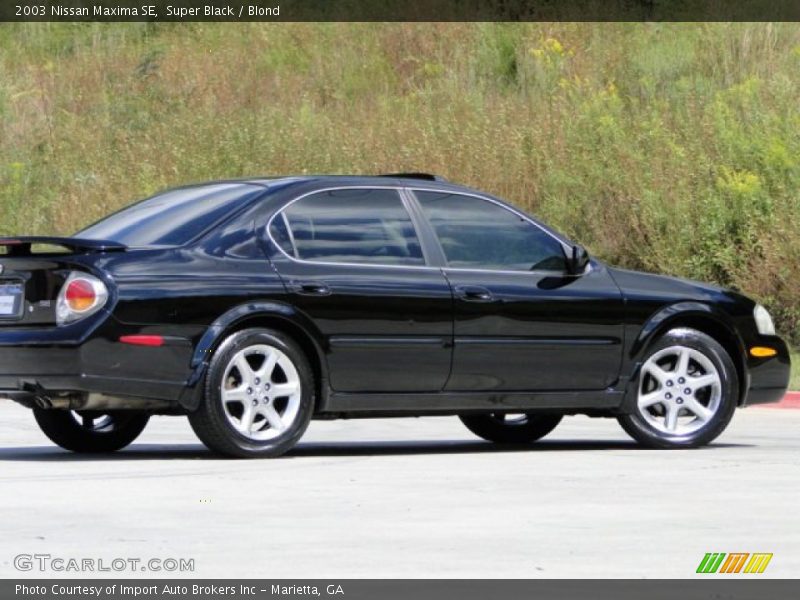 Super Black / Blond 2003 Nissan Maxima SE