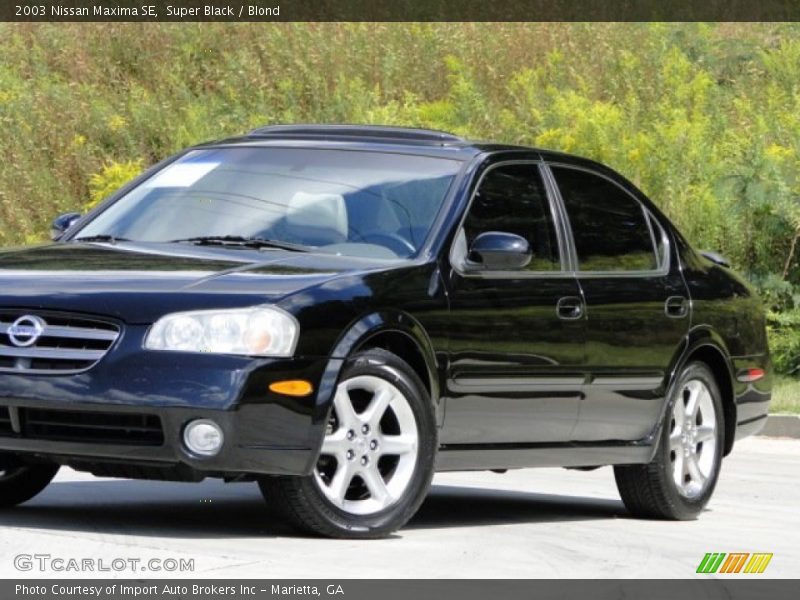 Super Black / Blond 2003 Nissan Maxima SE