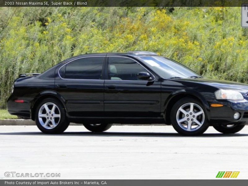 Super Black / Blond 2003 Nissan Maxima SE