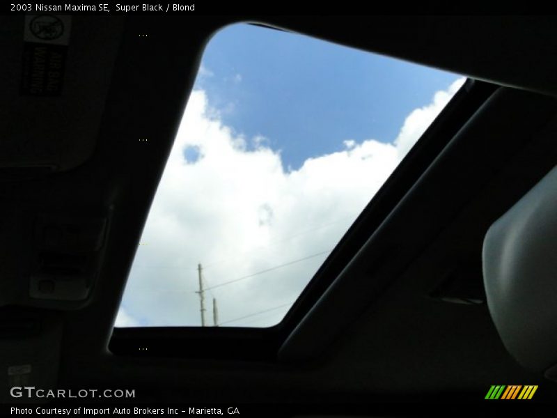 Super Black / Blond 2003 Nissan Maxima SE