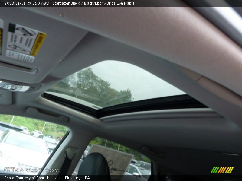 Stargazer Black / Black/Ebony Birds Eye Maple 2013 Lexus RX 350 AWD