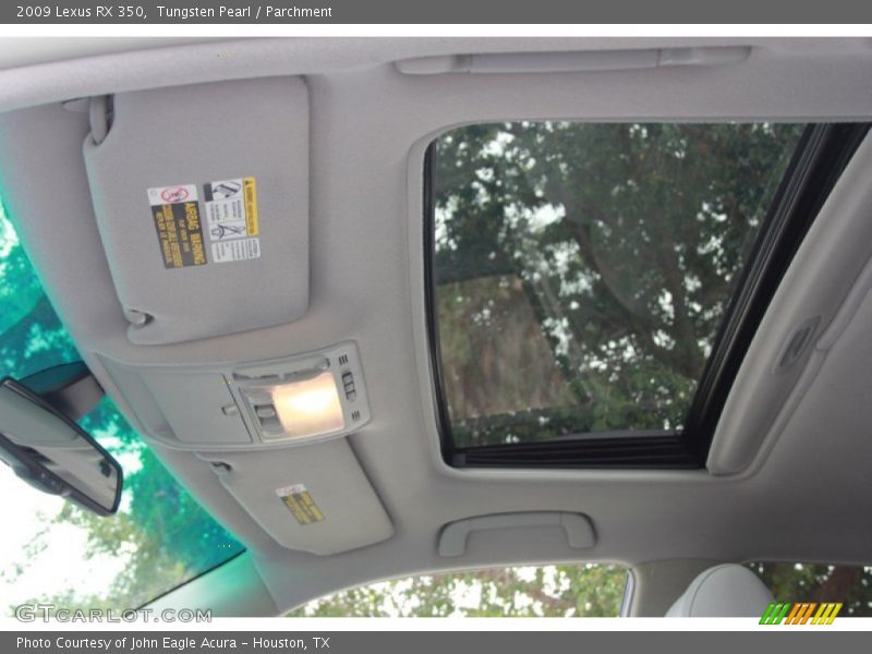 Tungsten Pearl / Parchment 2009 Lexus RX 350