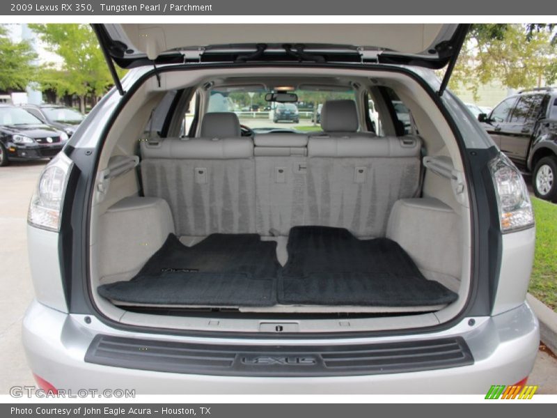 Tungsten Pearl / Parchment 2009 Lexus RX 350