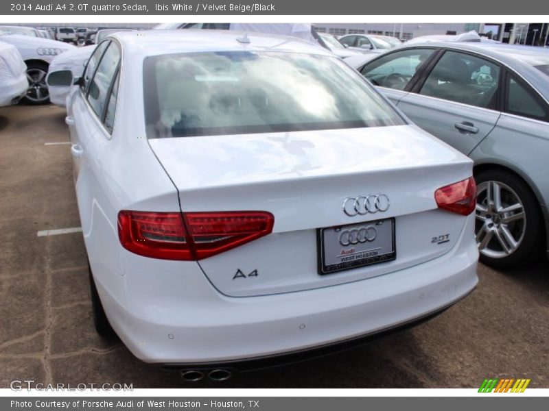 Ibis White / Velvet Beige/Black 2014 Audi A4 2.0T quattro Sedan