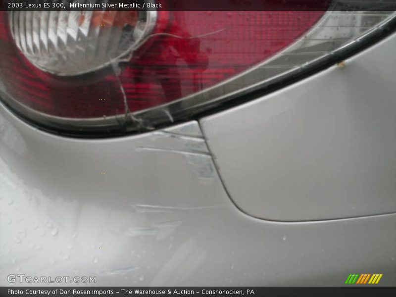 Millennium Silver Metallic / Black 2003 Lexus ES 300