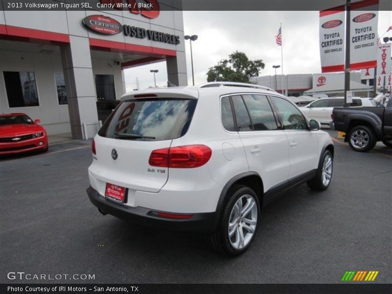 Candy White / Black 2013 Volkswagen Tiguan SEL