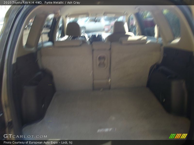 Pyrite Metallic / Ash Gray 2010 Toyota RAV4 I4 4WD