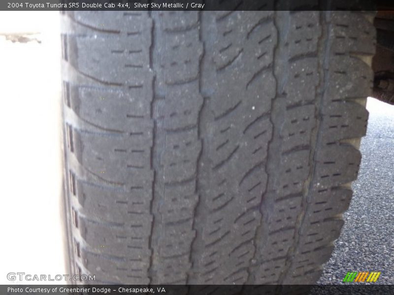Silver Sky Metallic / Gray 2004 Toyota Tundra SR5 Double Cab 4x4