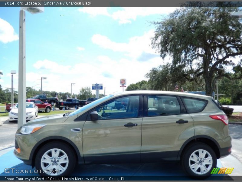 Ginger Ale / Charcoal Black 2014 Ford Escape S