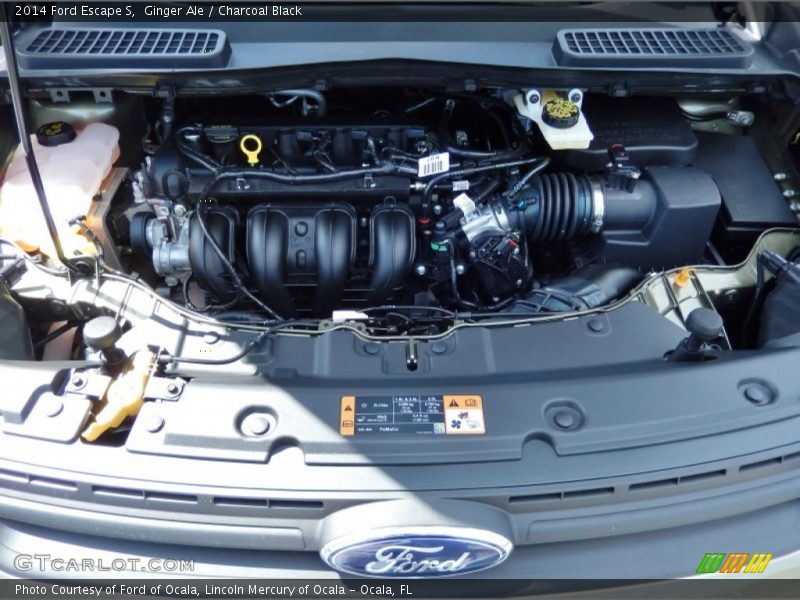 Ginger Ale / Charcoal Black 2014 Ford Escape S