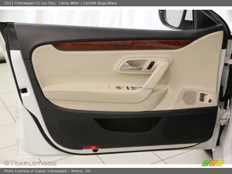 Door Panel of 2011 CC Lux Plus