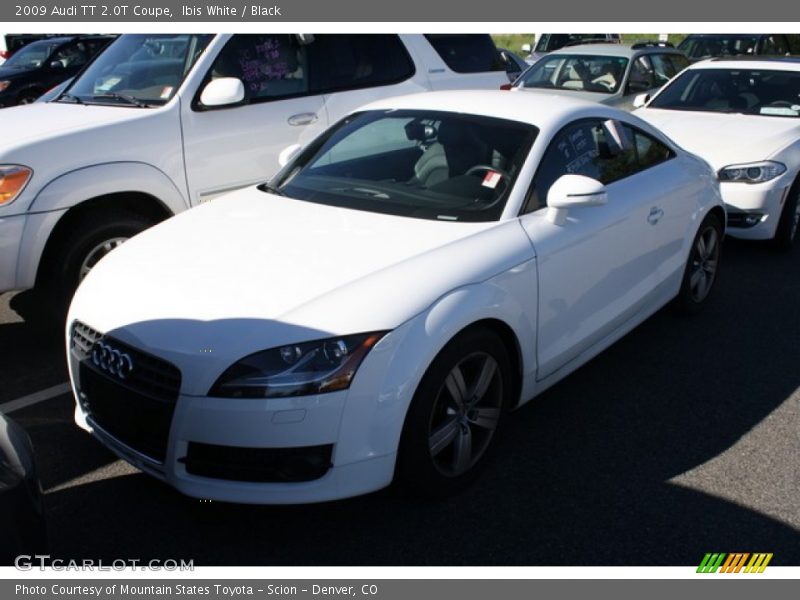 Ibis White / Black 2009 Audi TT 2.0T Coupe