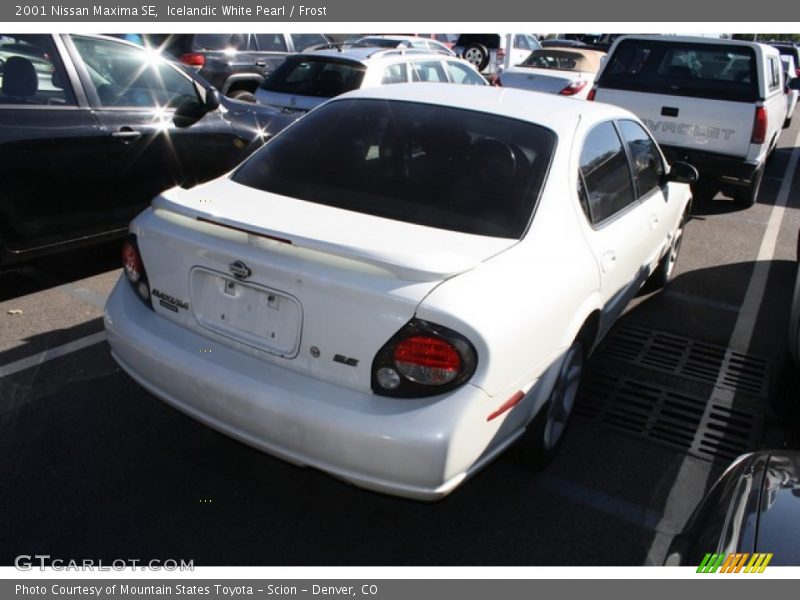 Icelandic White Pearl / Frost 2001 Nissan Maxima SE