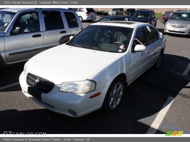 Icelandic White Pearl / Frost 2001 Nissan Maxima SE