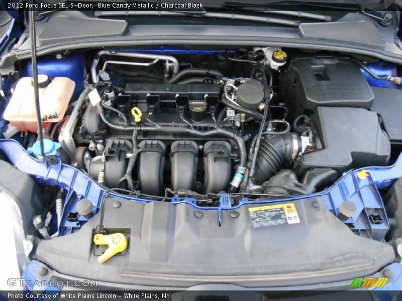 Blue Candy Metallic / Charcoal Black 2012 Ford Focus SEL 5-Door