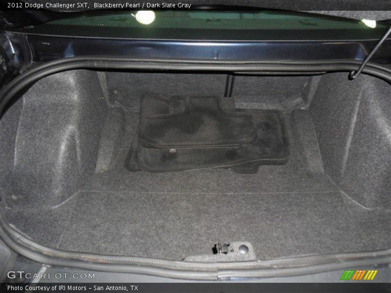 Blackberry Pearl / Dark Slate Gray 2012 Dodge Challenger SXT