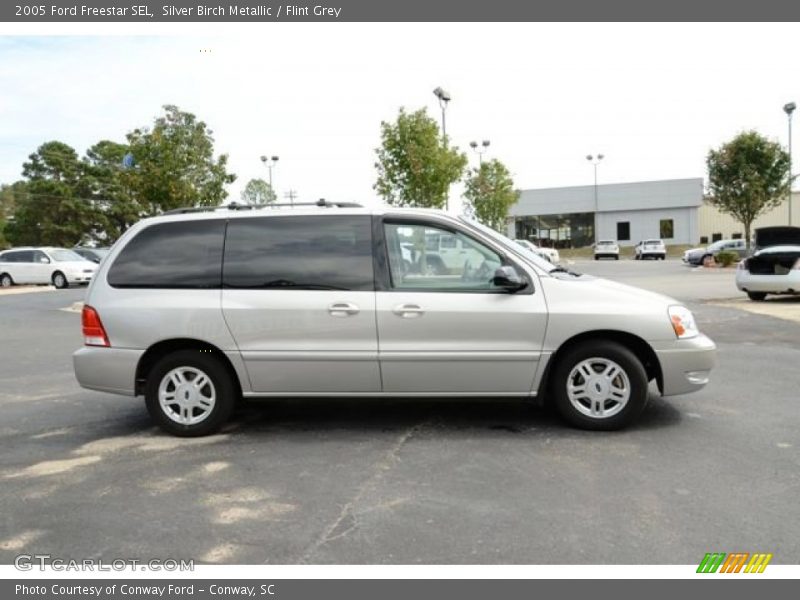 Silver Birch Metallic / Flint Grey 2005 Ford Freestar SEL