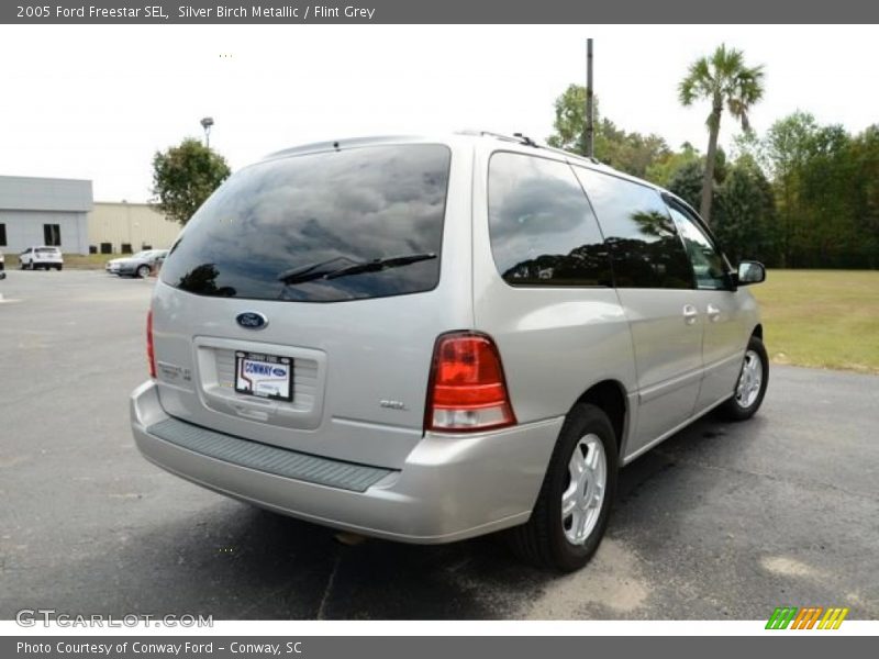 Silver Birch Metallic / Flint Grey 2005 Ford Freestar SEL