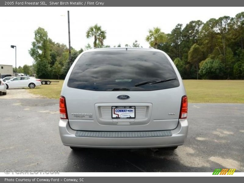 Silver Birch Metallic / Flint Grey 2005 Ford Freestar SEL
