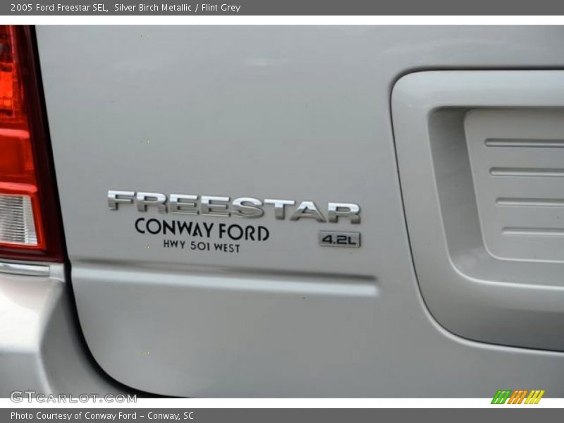 Silver Birch Metallic / Flint Grey 2005 Ford Freestar SEL