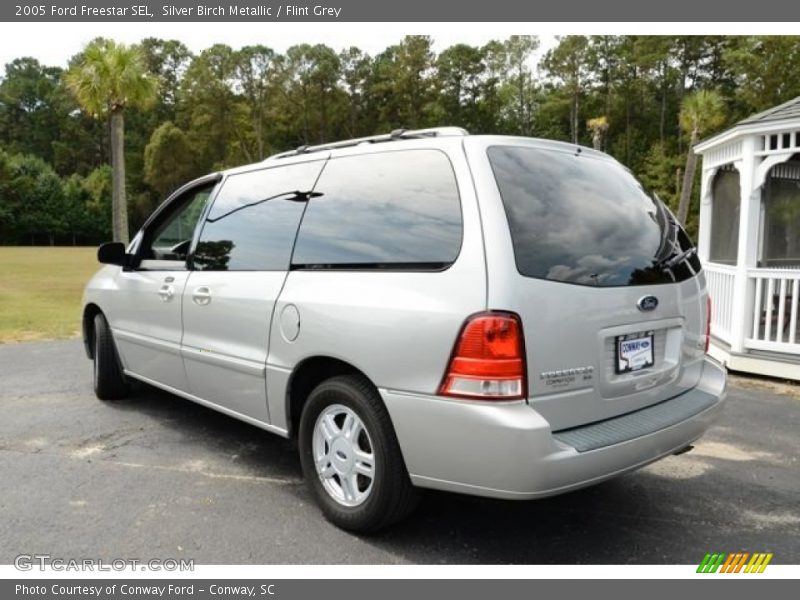 Silver Birch Metallic / Flint Grey 2005 Ford Freestar SEL