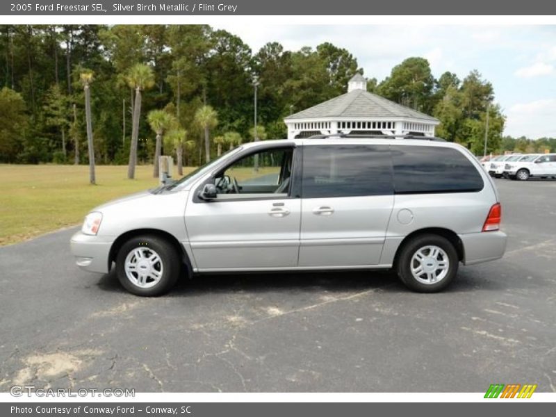 Silver Birch Metallic / Flint Grey 2005 Ford Freestar SEL