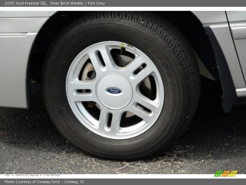 Silver Birch Metallic / Flint Grey 2005 Ford Freestar SEL
