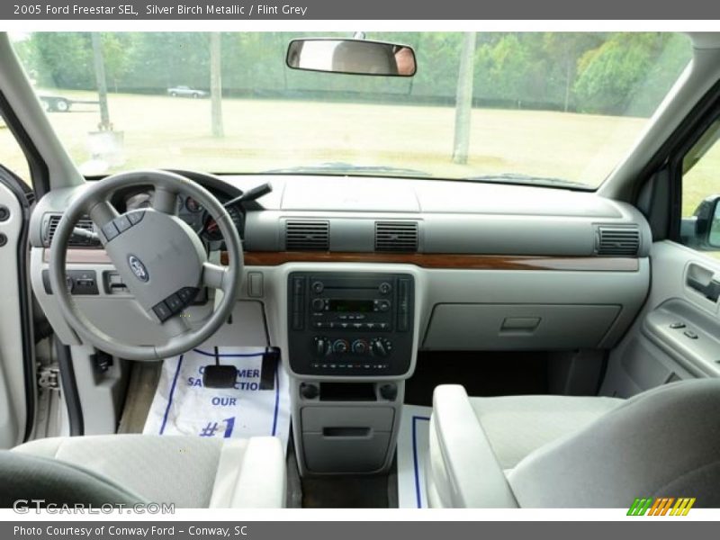 Silver Birch Metallic / Flint Grey 2005 Ford Freestar SEL