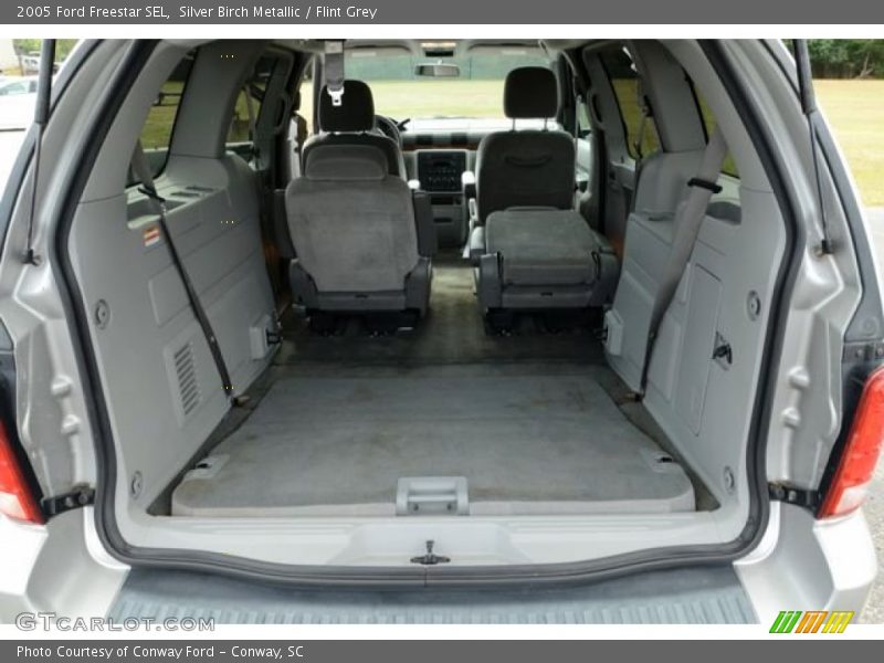 Silver Birch Metallic / Flint Grey 2005 Ford Freestar SEL