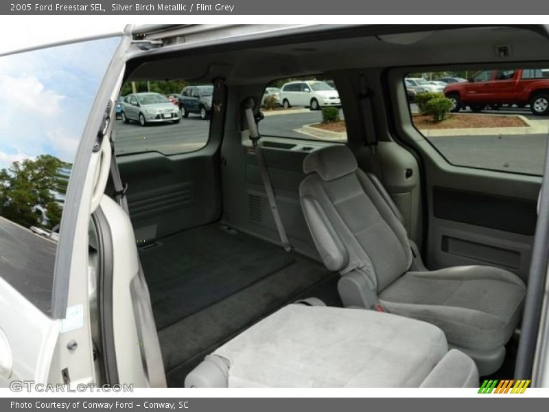 Silver Birch Metallic / Flint Grey 2005 Ford Freestar SEL