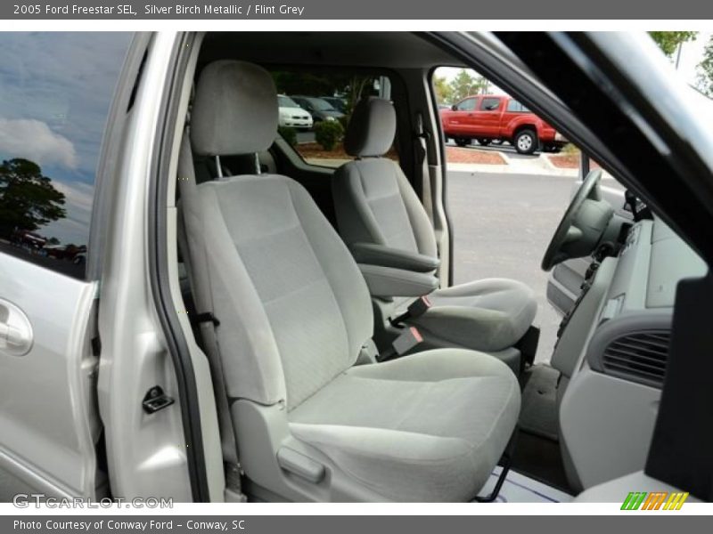 Silver Birch Metallic / Flint Grey 2005 Ford Freestar SEL