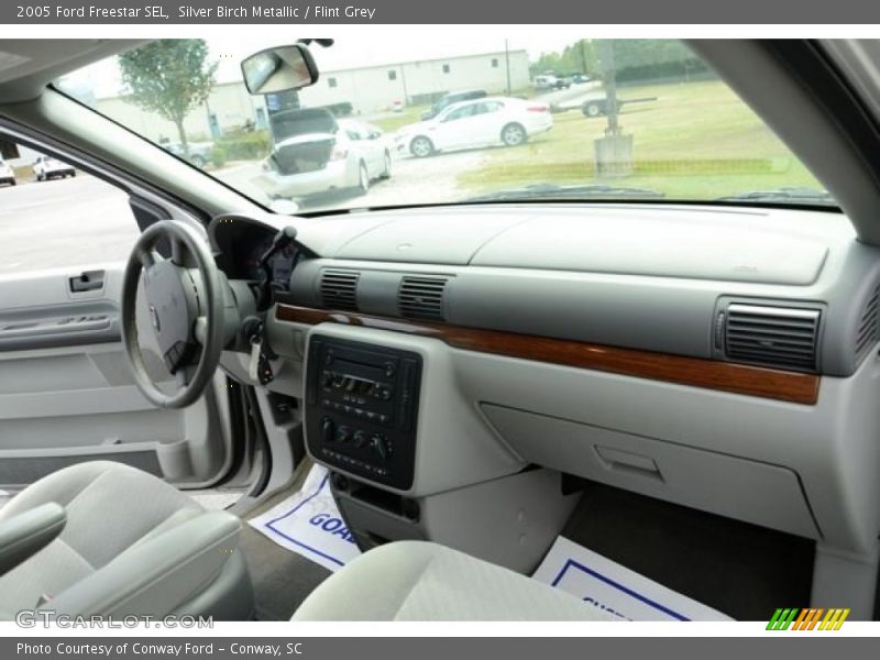 Silver Birch Metallic / Flint Grey 2005 Ford Freestar SEL