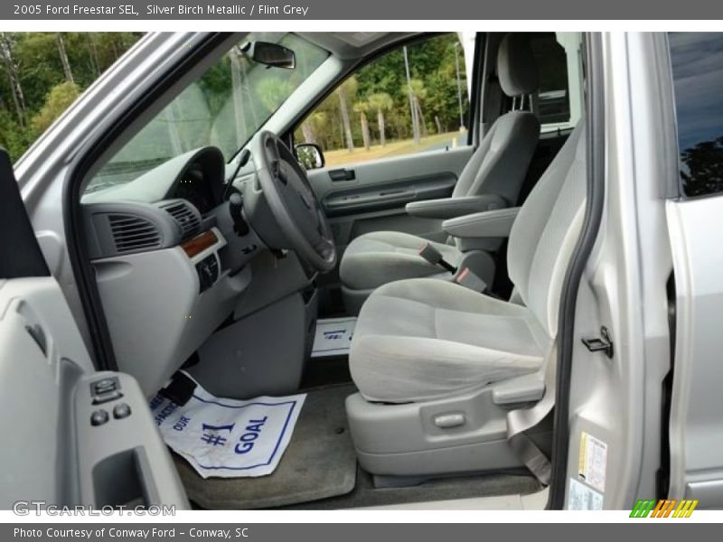 Silver Birch Metallic / Flint Grey 2005 Ford Freestar SEL