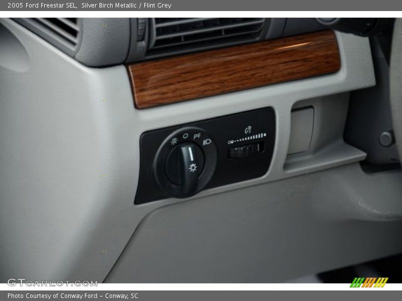 Silver Birch Metallic / Flint Grey 2005 Ford Freestar SEL