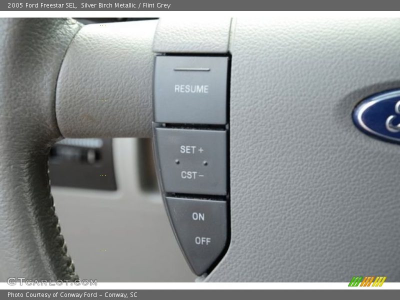 Silver Birch Metallic / Flint Grey 2005 Ford Freestar SEL