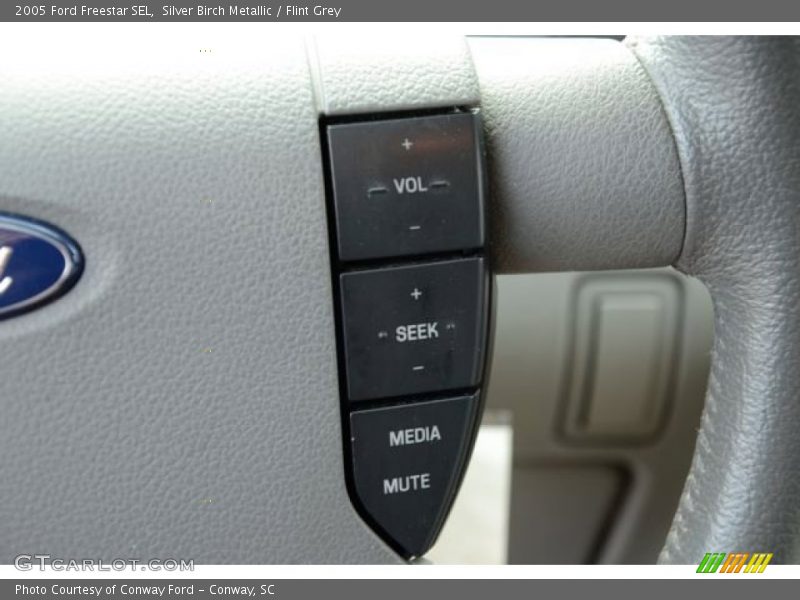 Silver Birch Metallic / Flint Grey 2005 Ford Freestar SEL