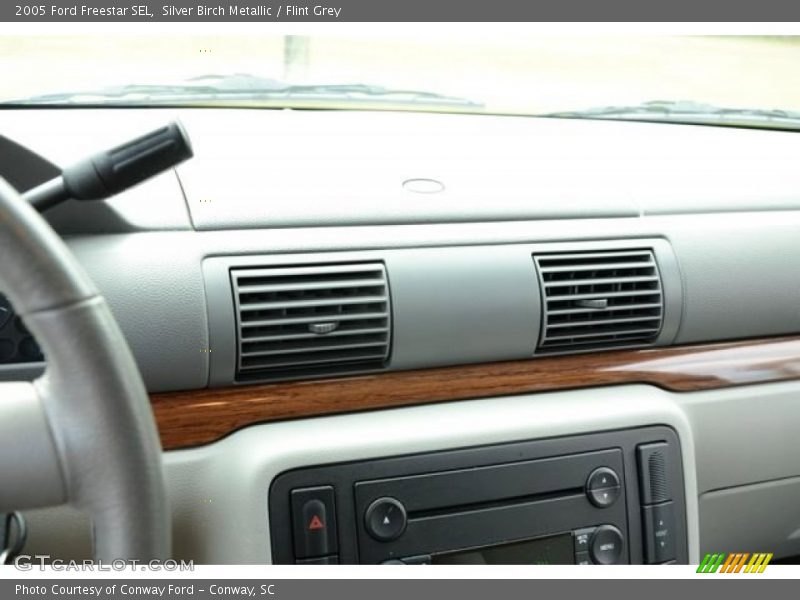 Silver Birch Metallic / Flint Grey 2005 Ford Freestar SEL