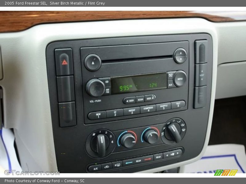 Silver Birch Metallic / Flint Grey 2005 Ford Freestar SEL