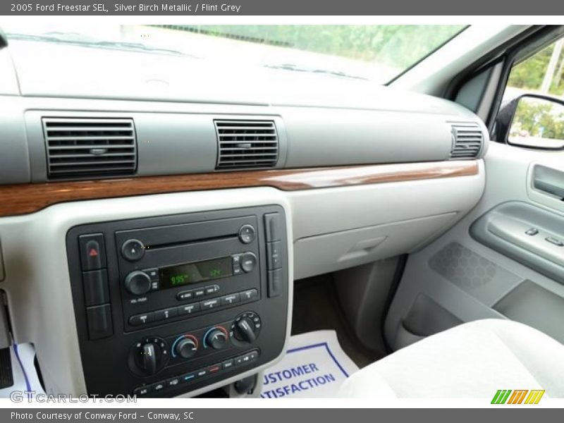 Silver Birch Metallic / Flint Grey 2005 Ford Freestar SEL