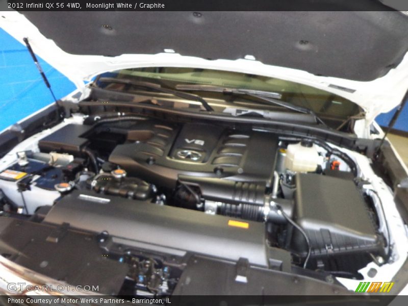 Moonlight White / Graphite 2012 Infiniti QX 56 4WD