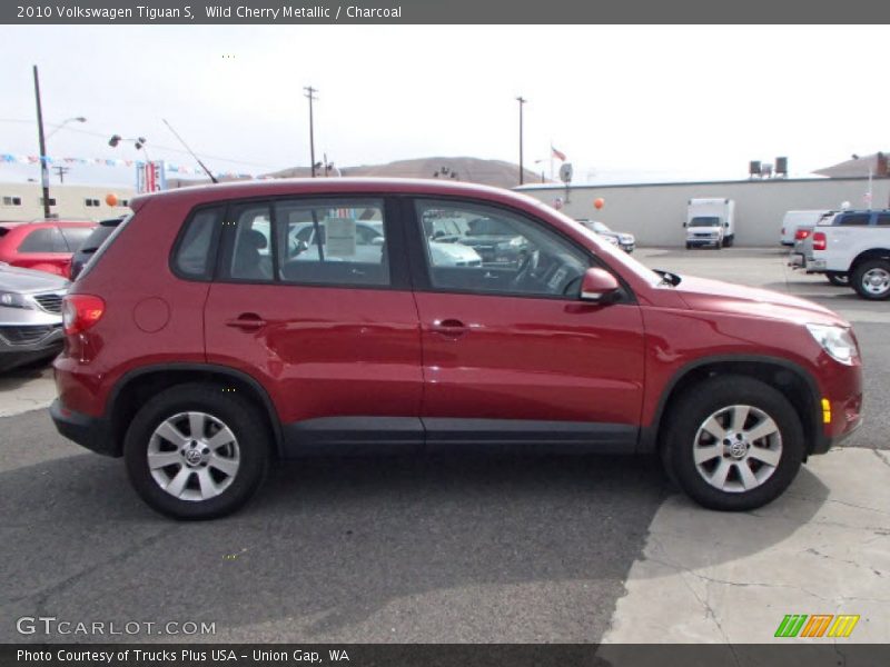 Wild Cherry Metallic / Charcoal 2010 Volkswagen Tiguan S
