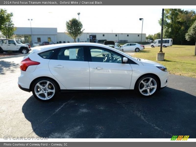 Oxford White / Charcoal Black 2014 Ford Focus Titanium Hatchback