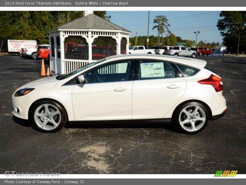 Oxford White / Charcoal Black 2014 Ford Focus Titanium Hatchback