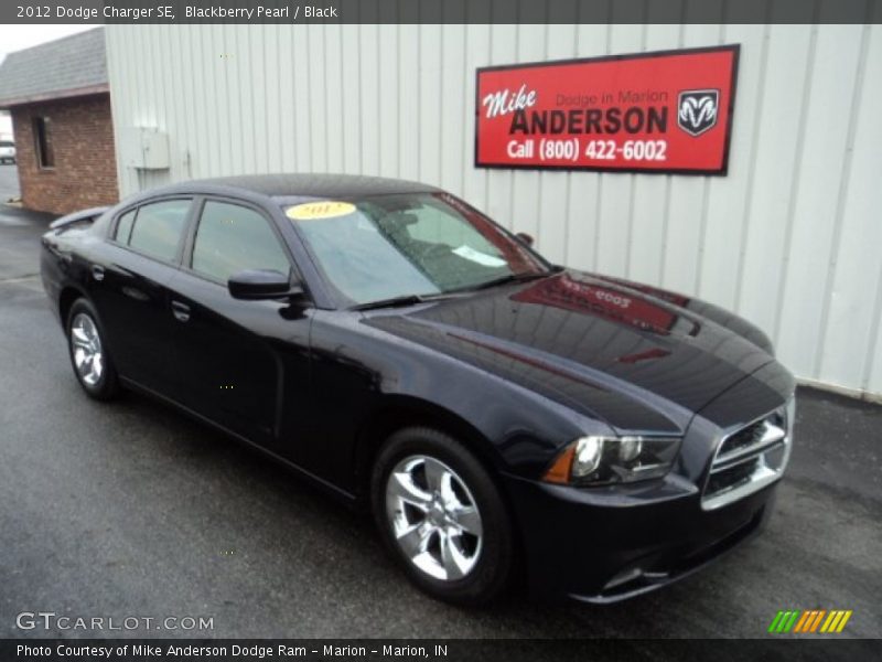 Blackberry Pearl / Black 2012 Dodge Charger SE