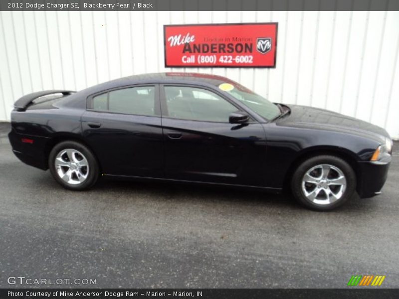 Blackberry Pearl / Black 2012 Dodge Charger SE