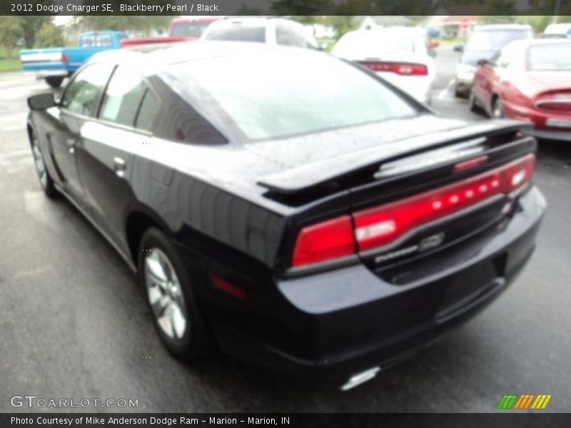 Blackberry Pearl / Black 2012 Dodge Charger SE