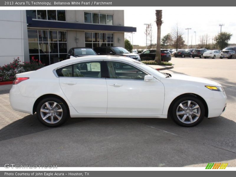 Bellanova White Pearl / Parchment 2013 Acura TL Technology