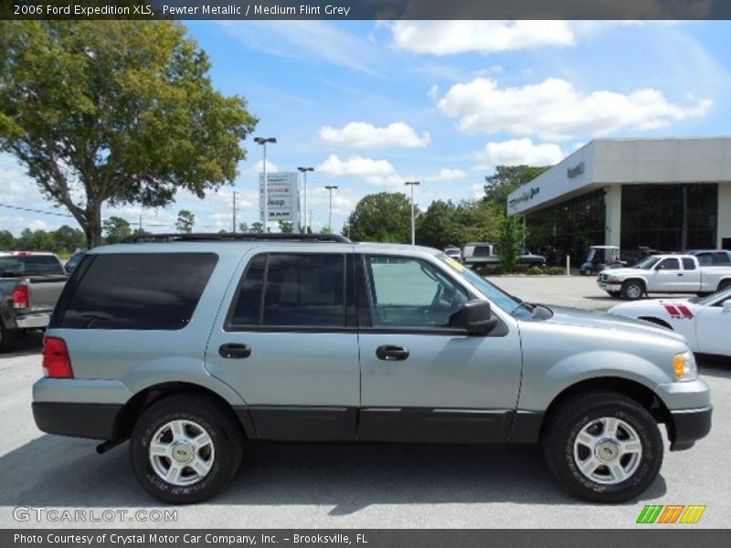 Pewter Metallic / Medium Flint Grey 2006 Ford Expedition XLS
