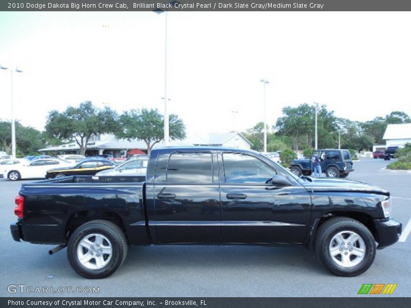 Brilliant Black Crystal Pearl / Dark Slate Gray/Medium Slate Gray 2010 Dodge Dakota Big Horn Crew Cab