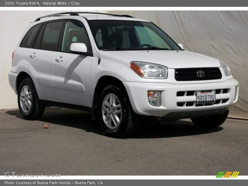 Natural White / Gray 2003 Toyota RAV4